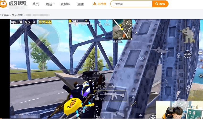 手机和平精英辅助透视