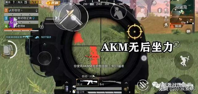 和平精英辅助软件的发展与影响分析