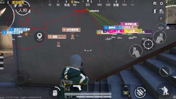 和平精英《火锅》辅助