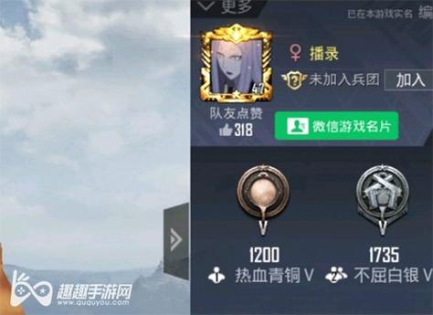 突破游戏界限：探索和平精英辅助工具的神秘世